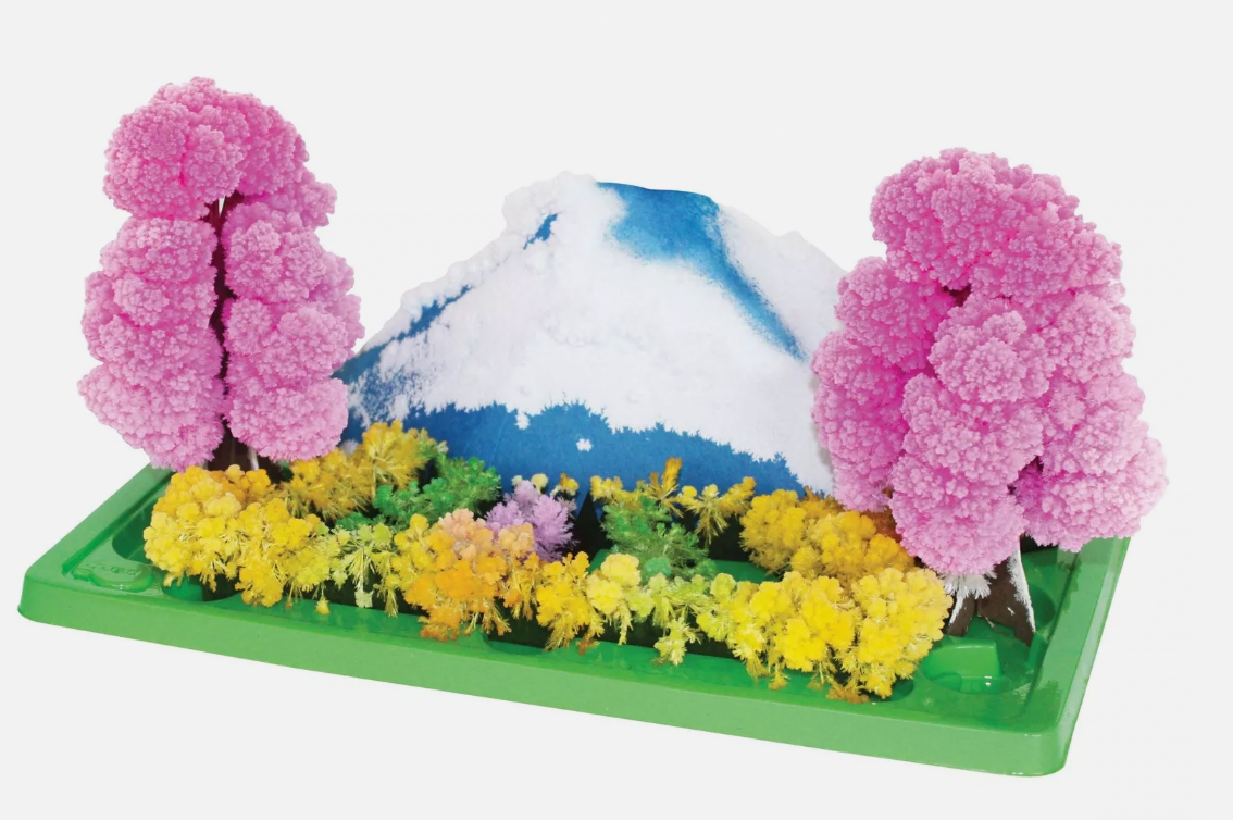 Discovery Zone Crystal Growing Magic Garden Ages 10+