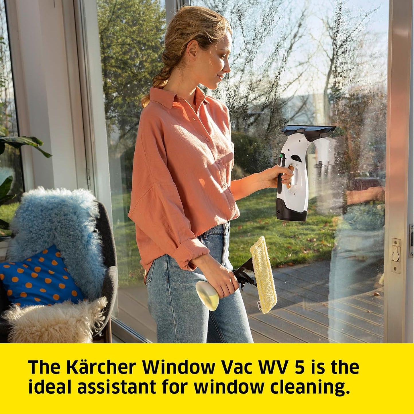 Karcher WV 5 Plus Cordless Window Vacuum Cleaner Kit