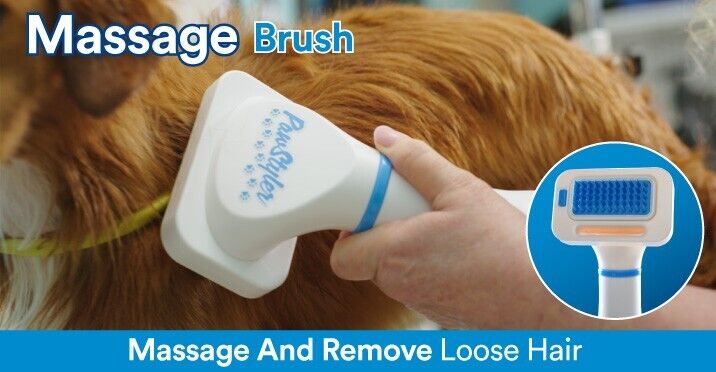 Paw Styler The Ultimate 5-in-1 Pet Grooming Kit and Dryer As Seen On Tv