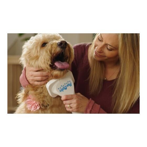 Paw Styler The Ultimate 5-in-1 Pet Grooming Kit and Dryer As Seen On Tv