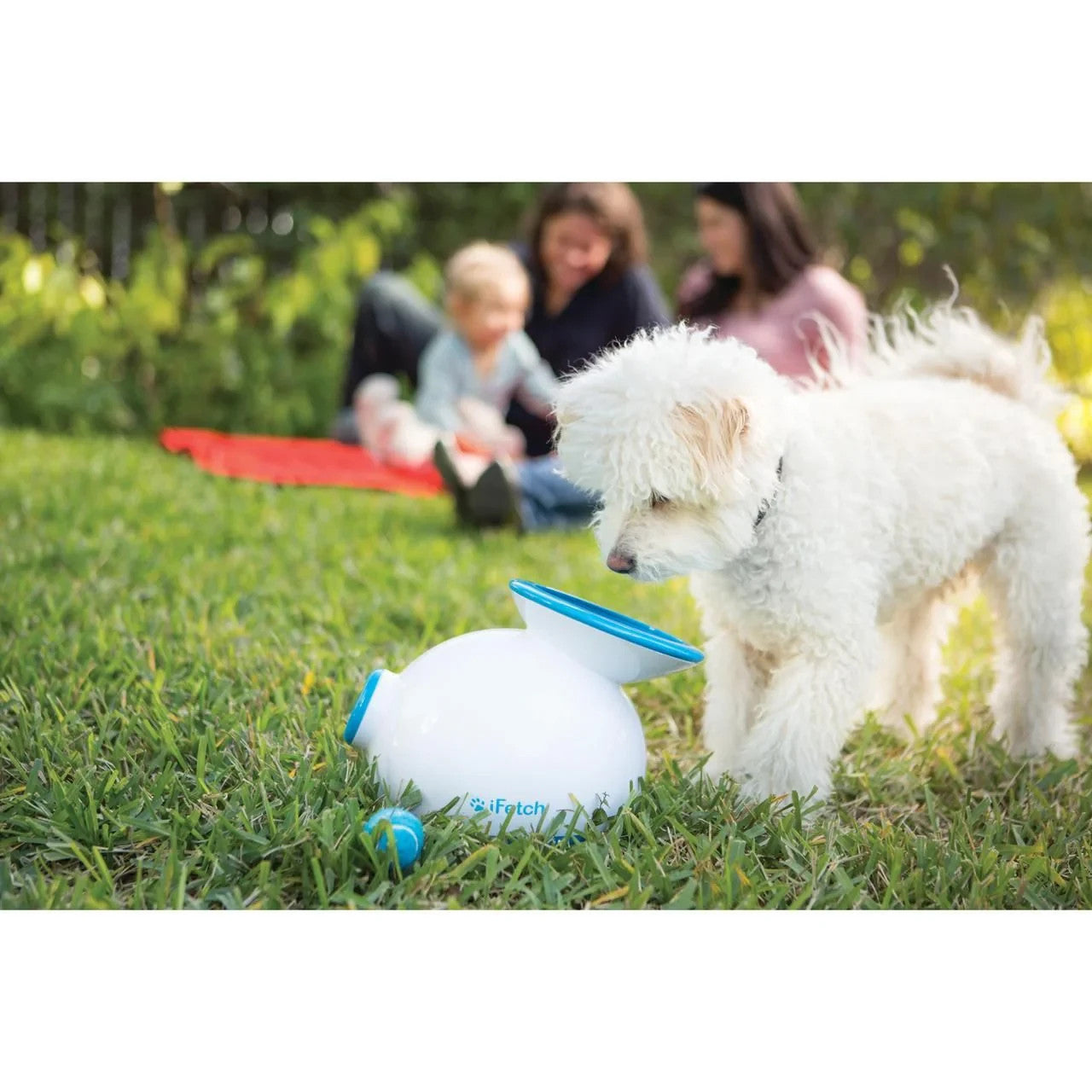 iFetch Original Automatic Ball Launchers for Dogs with 3 Balls Brand New