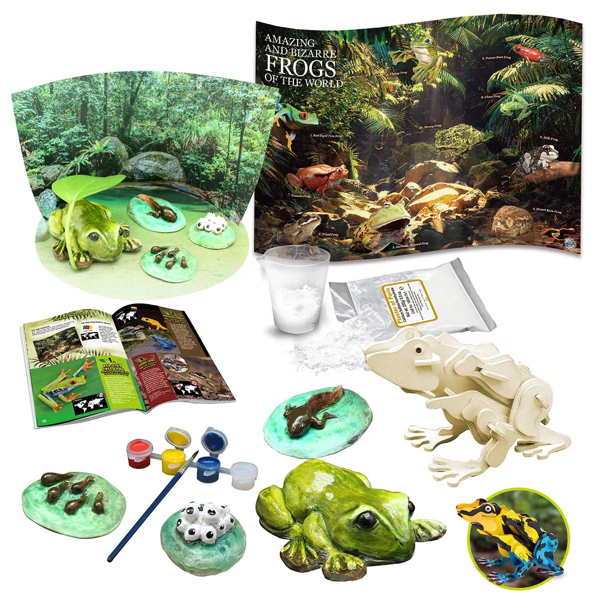 Australian Geographic Extreme Animals Kit 2 Packs – Lizards/Frogs