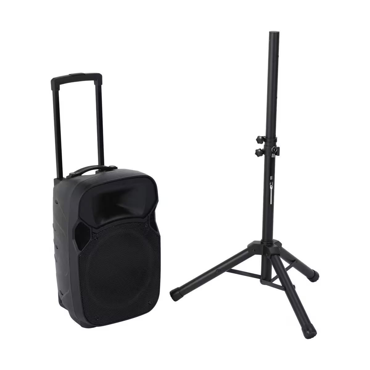 Portable Bluetooth Party Speaker TWS LED lights FM Radio Aux Wireless Mic