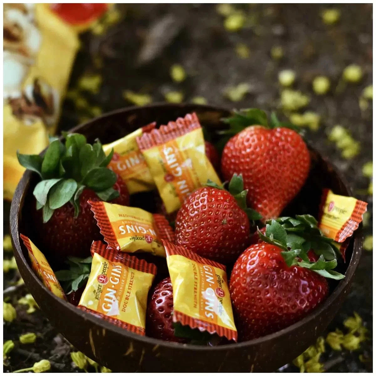 Gin Gins Double Strength Hard Ginger Candy 12 x 84g - Free Shipping