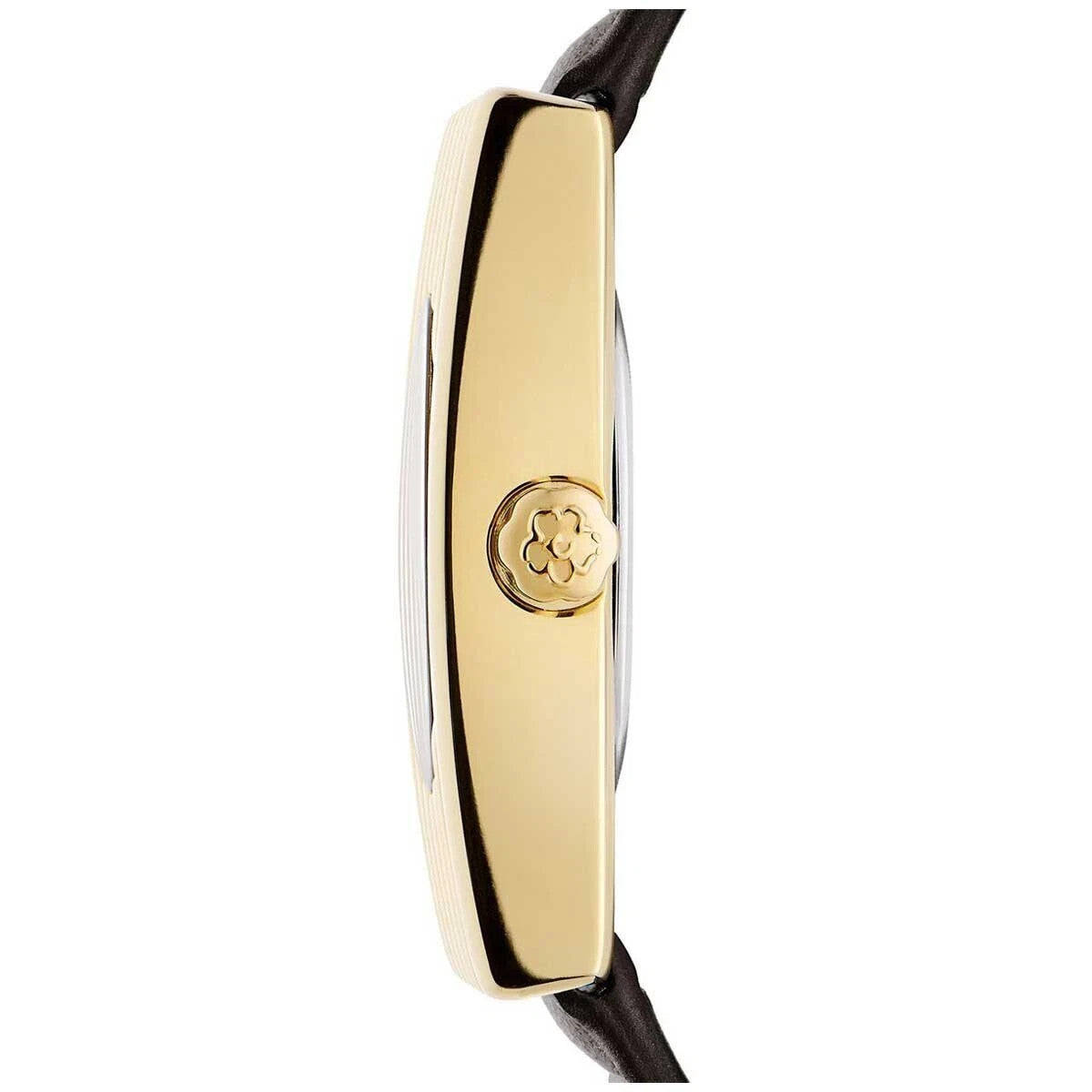 Ted Baker London Ottolee Leather Strap Women's Watch BKPOTF201 RRP $249