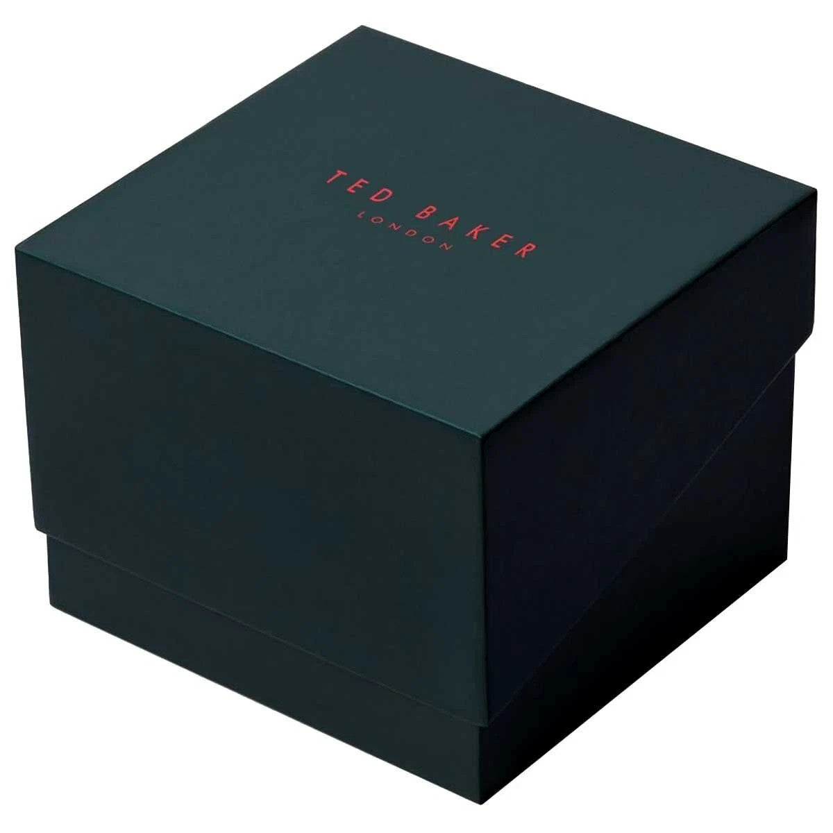 Ted Baker London Ottolee Leather Strap Women's Watch BKPOTF201 RRP $249