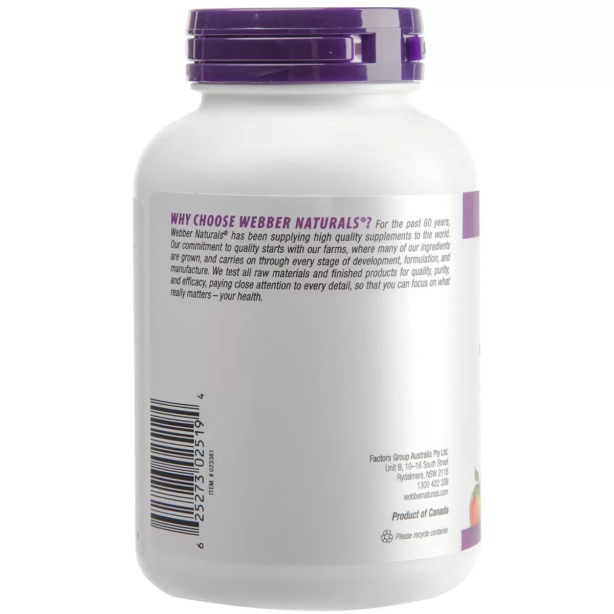 Webber Naturals Ginkgo Biloba 250 Tablets