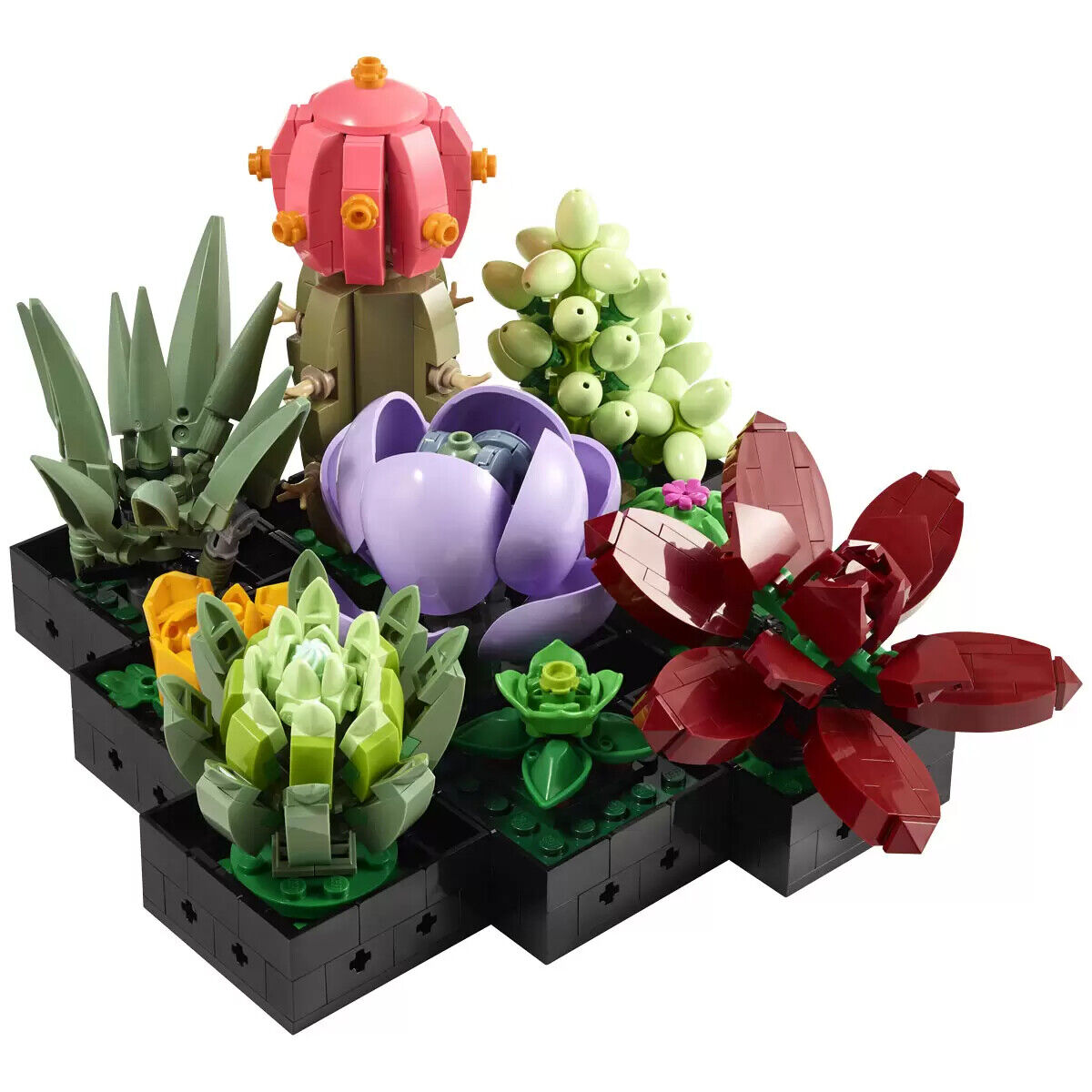 LEGO 10309 Creator Expert Botanical Collection Succulents (Brand New Sealed)