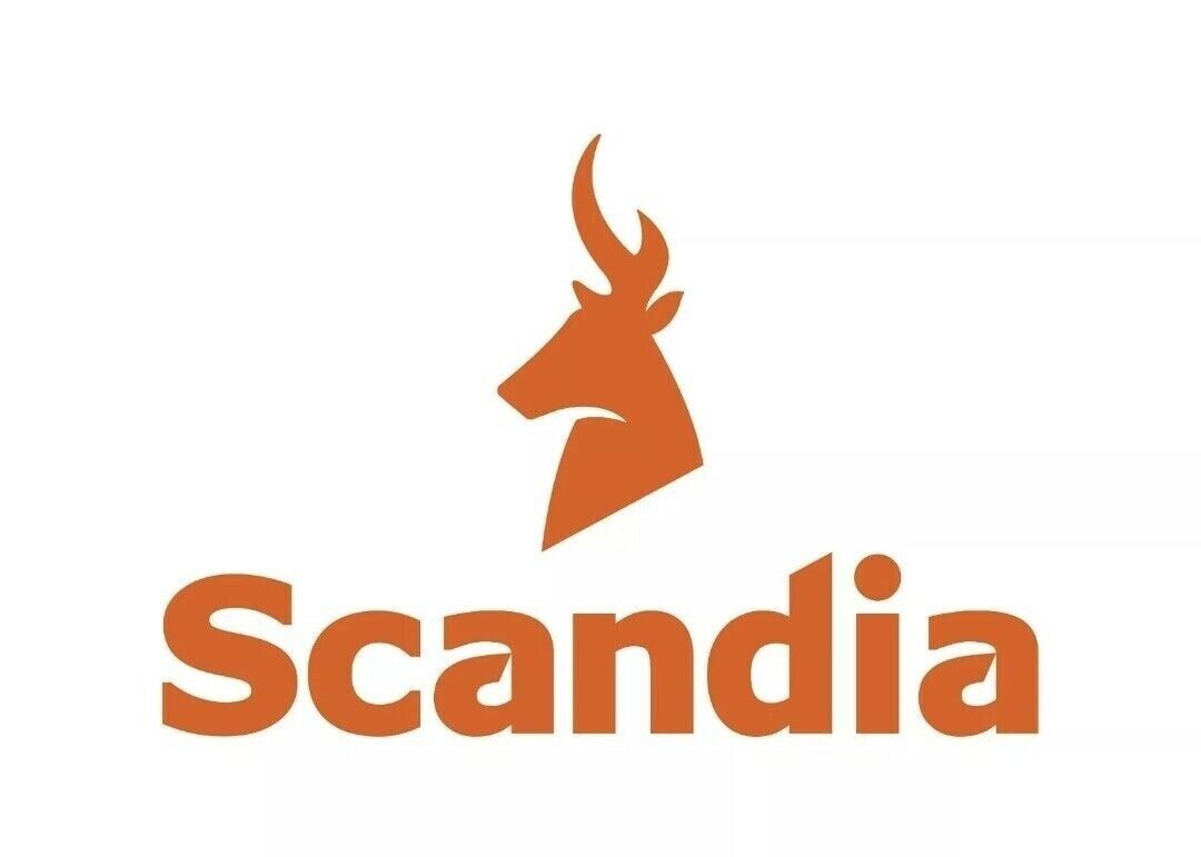 SCANDIA Deluxe ™ 5 Piece Fire Place Tool Set Fireplace Shovel Brush Poker +Stand