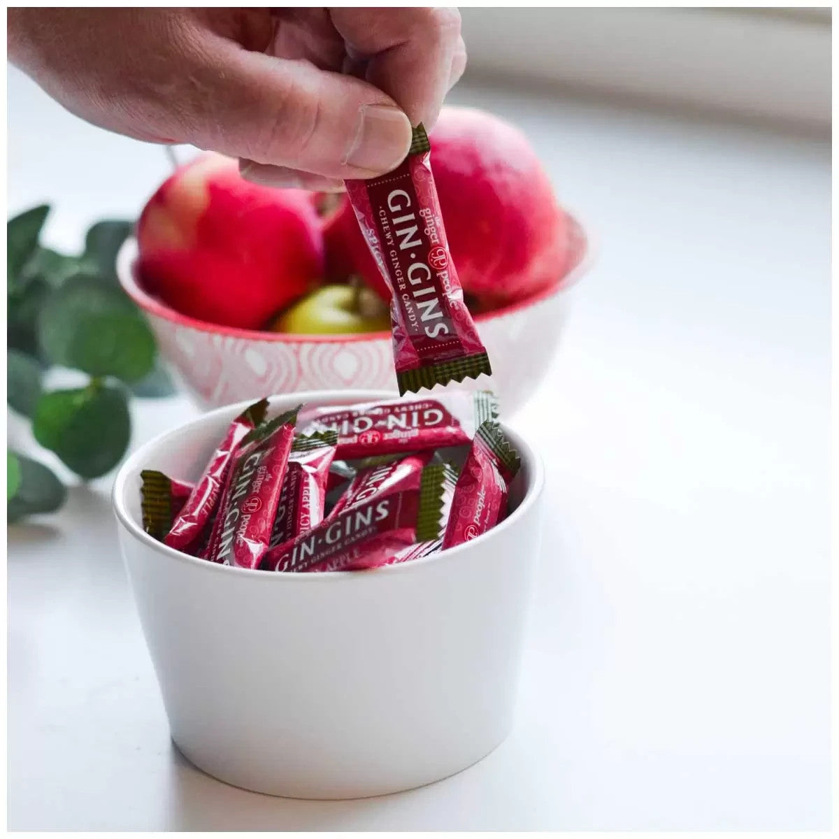 Gin Gins Spicy Apple Ginger Chews Candy 12 x 84g New