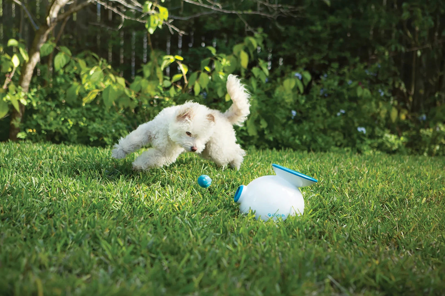 iFetch Original Automatic Ball Launchers for Dogs with 3 Balls Brand New
