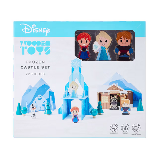 Disney Wooden toys Frozen building blocks 22 pcs Kids Play Set Brand New in box