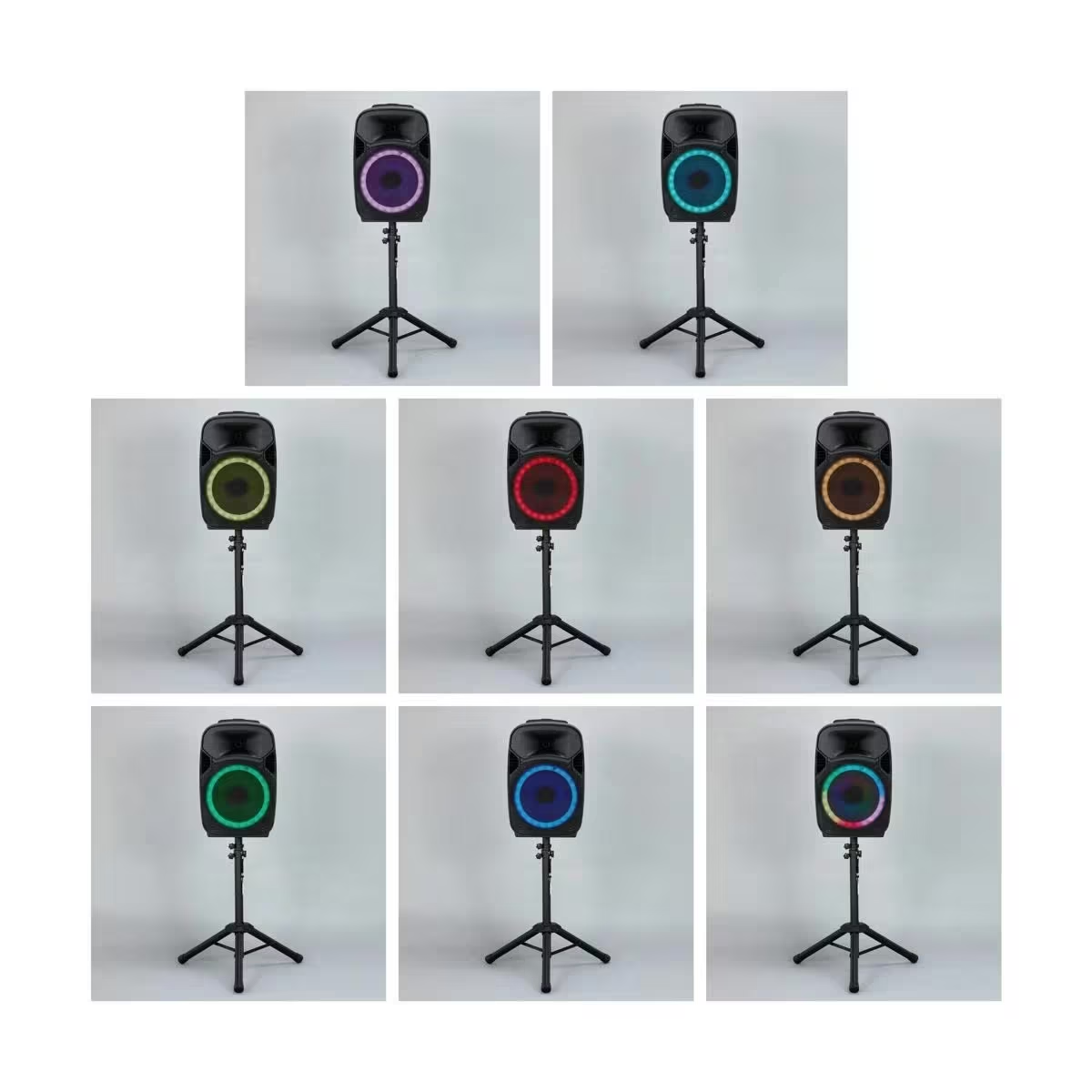 Portable Bluetooth Party Speaker TWS LED lights FM Radio Aux Wireless Mic
