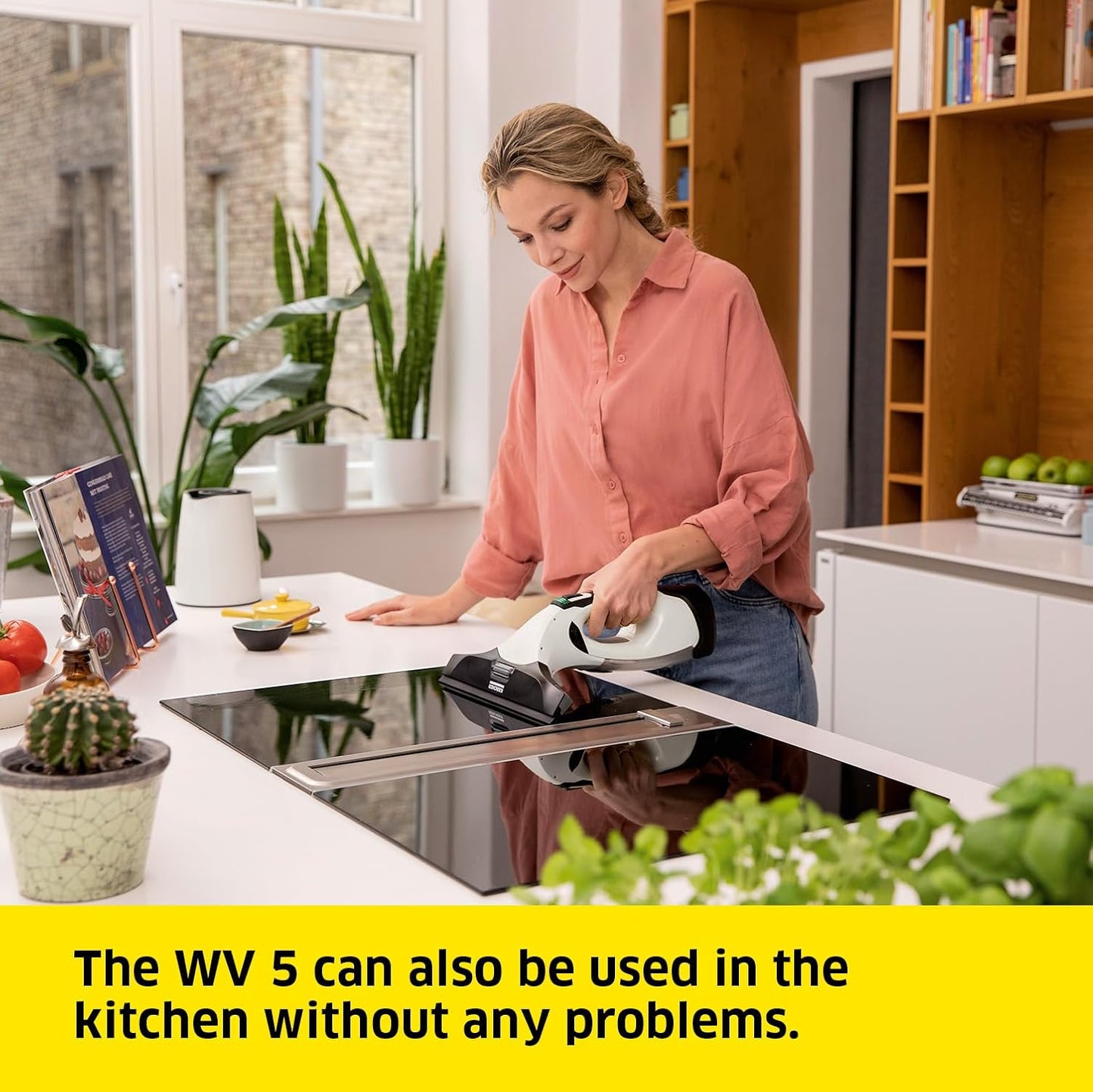 Karcher WV 5 Plus Cordless Window Vacuum Cleaner Kit