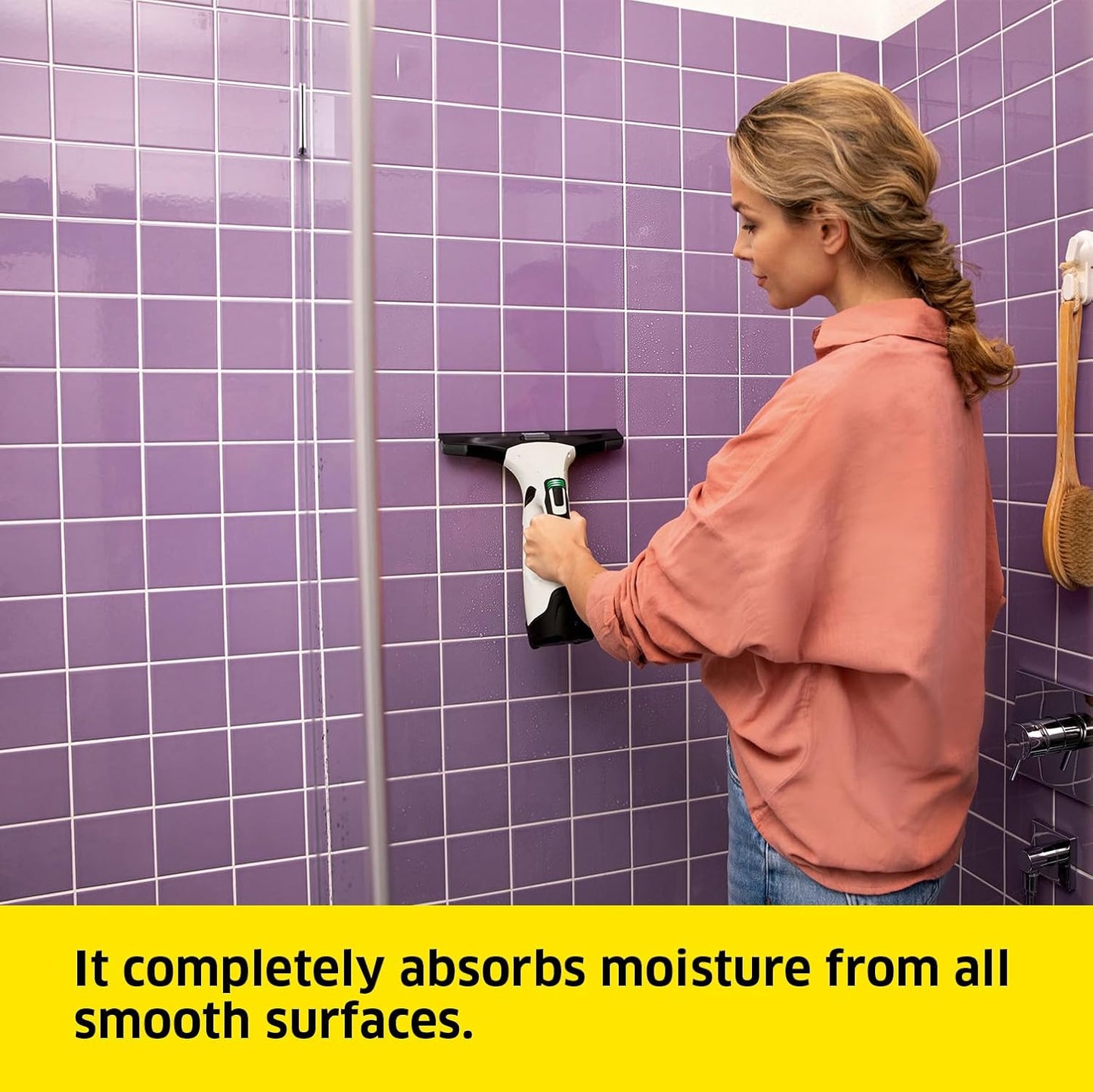 Karcher WV 5 Plus Cordless Window Vacuum Cleaner Kit